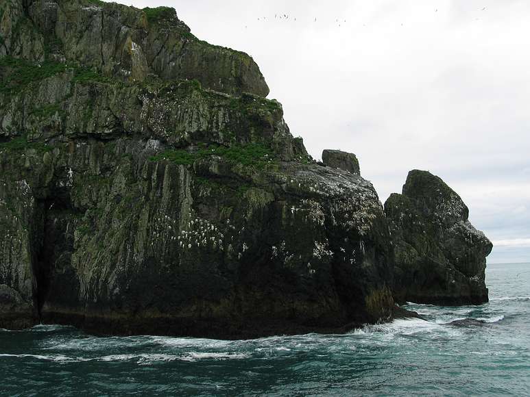 June 12, 2004 - Resurrection Bay, Alaska.