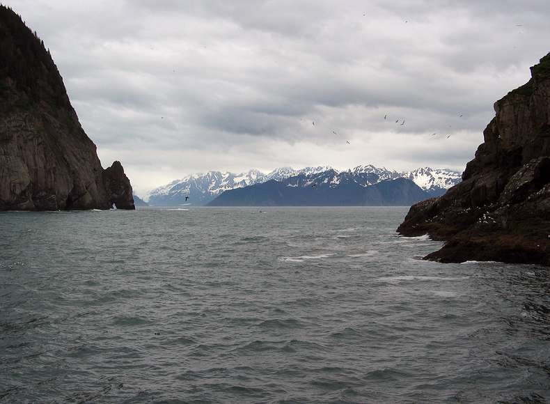 June 12, 2004 - Resurrection Bay, Alaska.