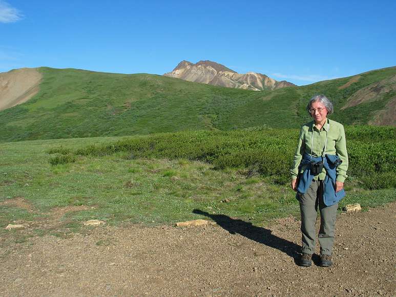 June 15, 2004 - Denali National Park, Alaska.<br />Joyce.