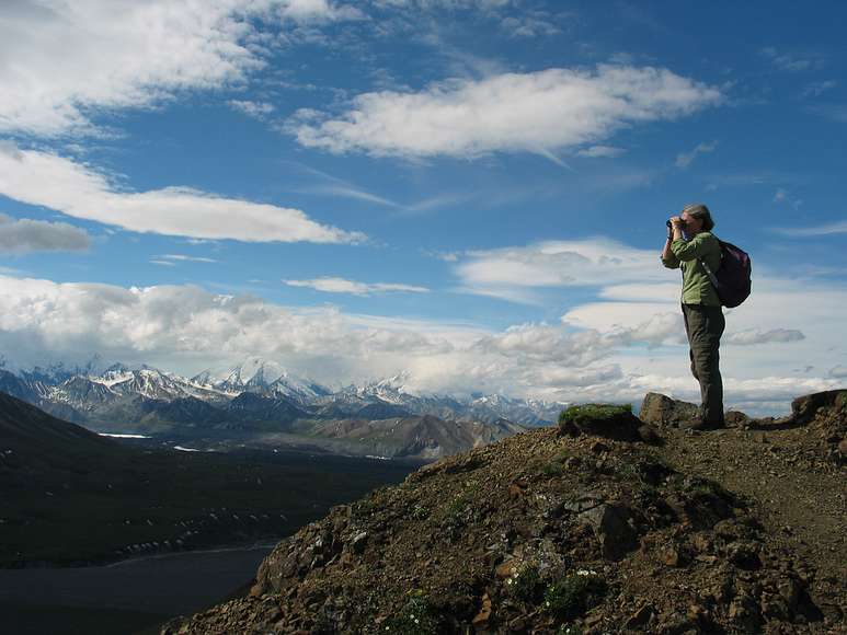 June 15, 2004 - Denali National Park, Alaska.<br />Thoro Ridge above Eielson Visitor Center.<br />Joyce.