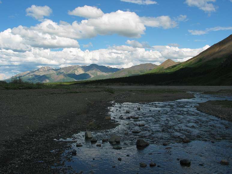 June 15, 2004 - Denali National Park, Alaska.