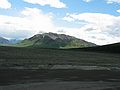June 15, 2004 - Denali National Park, Alaska.<br />Caribou grazing.