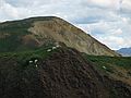 June 15, 2004 - Denali National Park, Alaska.<br />Dall sheep.