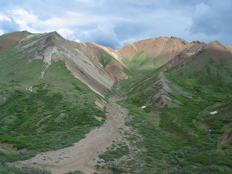 June 15, 2004 - Denali National Park, Alaska.<br />There is a grizzly bear in this photo, but you have to take my word for it.