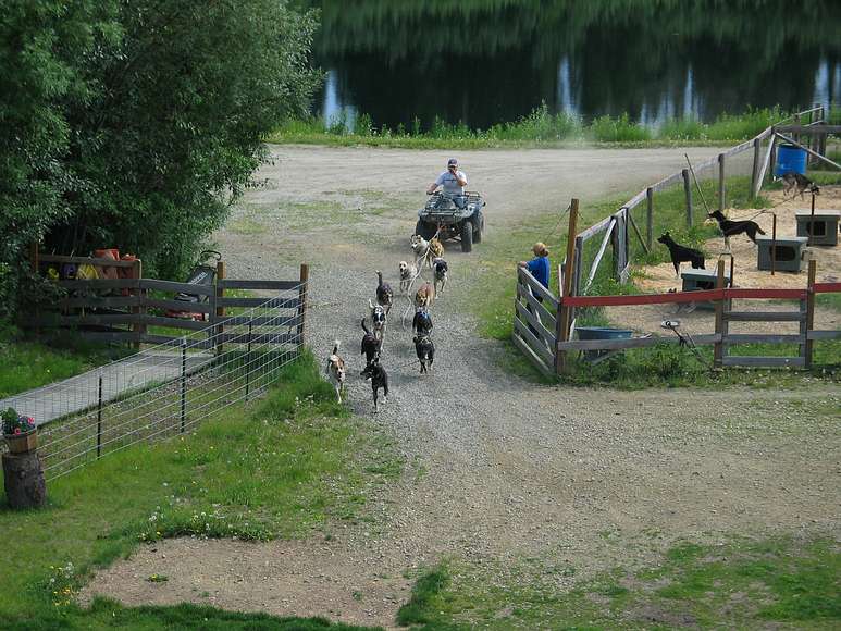 June 17, 2004 - Fairbanks, Alaska.<br />River boat trip on the Chena and Tanana Rivers.<br />Dog mushing demo at Susan Butcher's place along the Chena River.