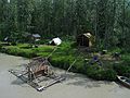 June 17, 2004 - Fairbanks, Alaska. River boat trip on the Chena and Tanana Rivers.<br />A fishing camp on the banks of the Tanana River. The contraption in the water is a fish<br />wheel for catching salmon.