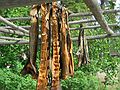 June 17, 2004 - Fairbanks, Alaska.<br />River boat trip on the Chena and Tanana Rivers.<br />In a replica of an Athabascan village along the Tanana River - salmon air drying.