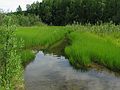 June 18, 2004 - Fairbanks, Alaska.<br />Creek in which Felix Pedro discovered gold.