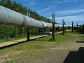 June 18, 2004 - Near Fairbanks, Alaska.<br />The oil pipeline here running above the permafrost.
