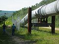 June 18, 2004 - Near Fairbanks, Alaska.<br />The oil pipeline.<br />The pipeline goes underground where there is no permafrost.