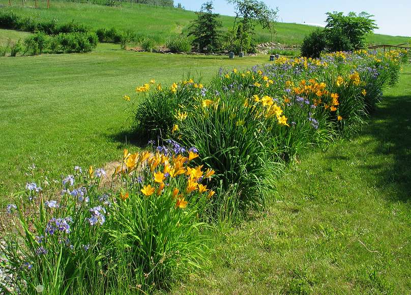 June 19, 2004 - University of Alaska, Fairbanks, Alaska.<br />Georgeson Botanical Gardens.