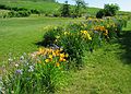 June 19, 2004 - University of Alaska, Fairbanks, Alaska.<br />Georgeson Botanical Gardens.