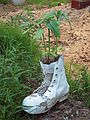 June 20, 2004 - Wiseman, Alaska.<br />On Jack's property.