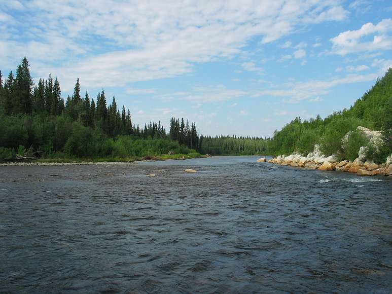 June 22, 2004 - Along the Chena Hot Springs Road.<br />North Fork of the Chena River.