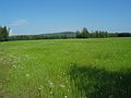 June 22, 2004 - Fairbanks, Alaska.<br />Creamer's fields.