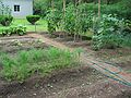 August 1, 2004 - Manchester by the Sea, Massachusetts.<br />Uldis' 60th birthday celebration.<br />Uldis' garden.