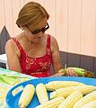 August 2, 2004 - Lawrence, Massachusetts.<br />Family get-together to see Melody, who was visiting from California.<br />Baiba shucking corn.