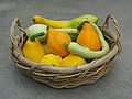 Sept. 5, 2004 - At Memere Marie's in Lawrence, Massachusetts.<br />Paul's vegetables.