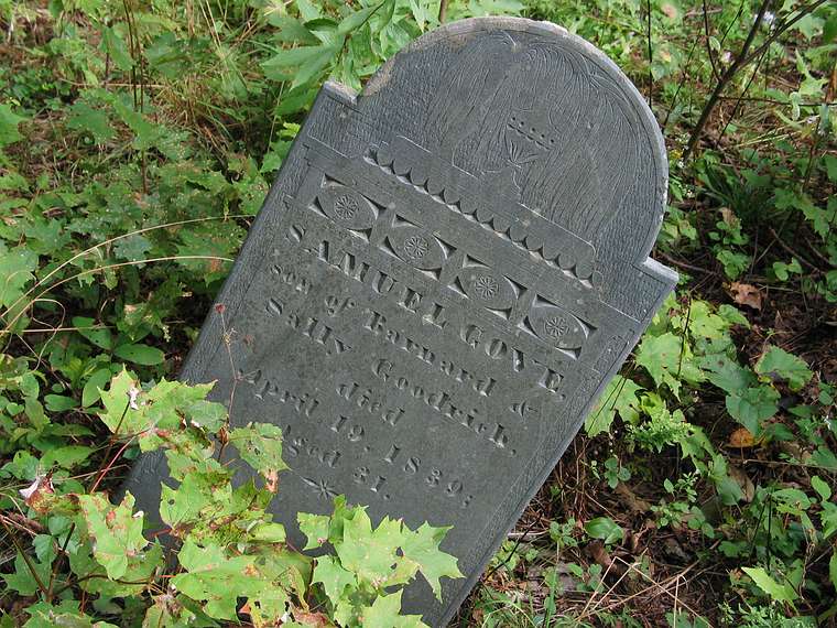 Sept. 19, 2004 - Pawtuckaway State Park, New Hampshire.<br />Abandoned cemetery at start of trail up Middle Mountain.