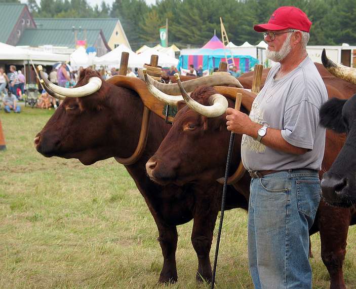 Sept. 25, 2004 - Common Ground County Fair, Unity, Maine.