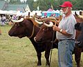 Sept. 25, 2004 - Common Ground County Fair, Unity, Maine.