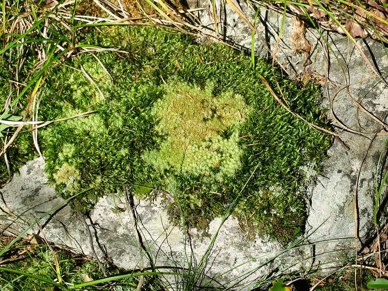 Sept. 26, 2004 - Camden Hills State Park, Maine.