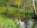 Oct. 2, 2004 - Great Bay National Wildlife Refuge, Newington, New Hampshire.<br />Along Ferry Way Trail (2 mile loop).