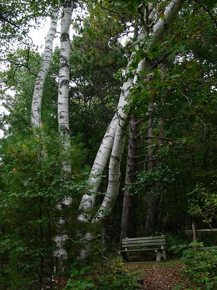 Oct. 2, 2004 - Great Bay National Wildlife Refuge, Newington, New Hampshire.<br />Along Ferry Way Trail (2 mile loop).