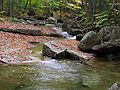 Oct. 9, 2004 - Off NH-49, White Mountain National Forest, New Hampshire.<br />On trail along the north side of Smarts Brook.<br />Smarts Brook.