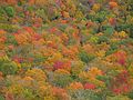 Oct. 10, 2004 - Dickey-Welch Trail, White Mountain National Forest, New Hampshire.<br />View  from a ledge on descent from Dickey.