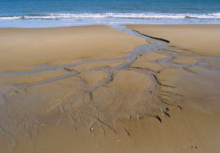 Nov. 7, 2004 - Parker River National Wildlife Refuge, Plum Island, Massachusetts.<br />A walk along the beach with Joyce.