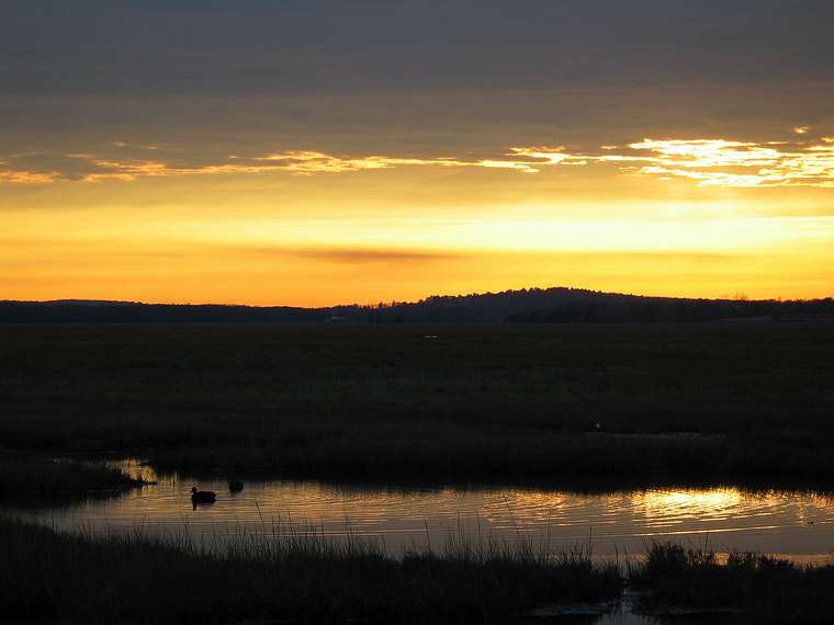 Nov. 10, 2004 - Parker River National Wildlife Refuge, Plum Island, Massachusetts.