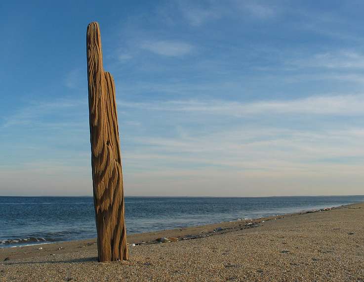 Nov. 19, 2004 - Parker River National Wildlife Refuge, Plum Island, Massachusetts.<br />A stick (about 12") in the sand.