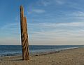 Nov. 19, 2004 - Parker River National Wildlife Refuge, Plum Island, Massachusetts.<br />A stick (about 12") in the sand.