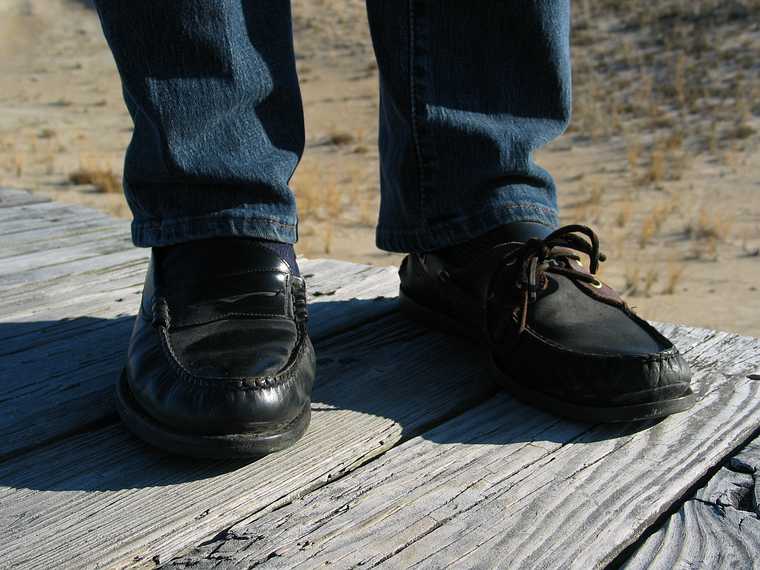 Nov. 23, 2004 - Parker River National Wildlife Refuge, Plum Island, Massachusetts.<br />Close but no cigar.