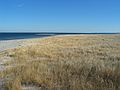 Dec. 5, 2004 - Cranes Beach, Ipswich, Massachusetts.<br />A Get Outdoors New England hike led by Barry Goldstein.