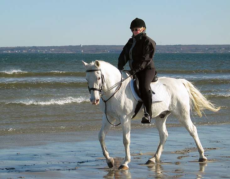 Dec. 5, 2004 - Cranes Beach, Ipswich, Massachusetts.<br />A Get Outdoors New England hike led by Barry Goldstein.