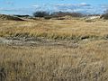 Dec. 5, 2004 - Cranes Beach, Ipswich, Massachusetts.<br />A Get Outdoors New England hike led by Barry Goldstein.