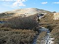 Dec. 5, 2004 - Cranes Beach, Ipswich, Massachusetts.<br />A Get Outdoors New England hike led by Barry Goldstein.