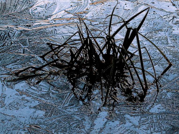 Dec. 14, 2004 - Maudslay State Park.<br />Ice and grass modified in Photoshop.