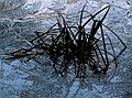 Dec. 14, 2004 - Maudslay State Park.<br />Ice and grass modified in Photoshop.