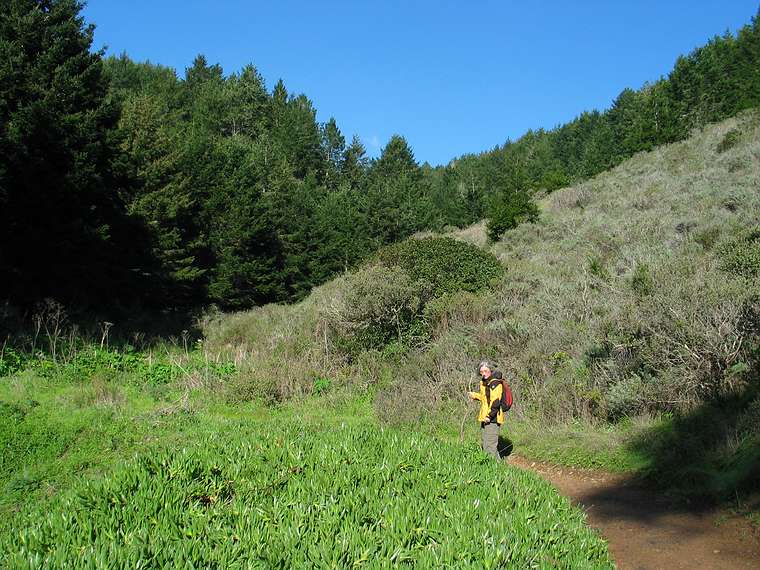 Jan. 12, 2005 - Point Reyes National Seashore near Bolinas, California.<br />Along the Palomarin trail.<br />Joyce.