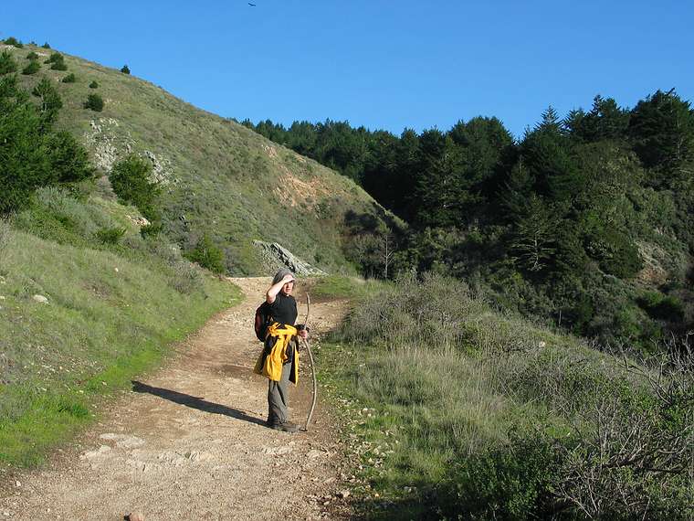 Jan. 12, 2005 - Point Reyes National Seashore near Bolinas, California.<br />Along the Palomarin trail.<br />Joyce.