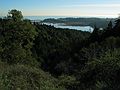 Jan. 12, 2005 - Bolinas Lagoon from Fairfax-Bolinas Road, California.