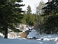 Jan. 15, 2005 - Along Taylor Creek between Lake Tahoe and Fallen Leaf Lake.<br />View from Joyce's and my cross-country skiing lunch stop.