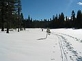 Jan. 16, 2005 - In the vicinity of Fallen Leaf Lake just south of Lake Tahoe, California.<br />Joyce skiing off in the distance.