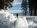Jan. 17, 2005 - Camp Richardson on Lake Tahoe, California.<br />Joyce admiring the lake.