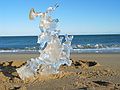 Jan. 25, 2005 - The north end of Plum Island.<br />Today, the dominant feature was the chunks of ice along the high tide line.<br />A bigger piece of ice.