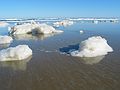 Feb. 5, 2005 - Plum Island, Massachusetts.