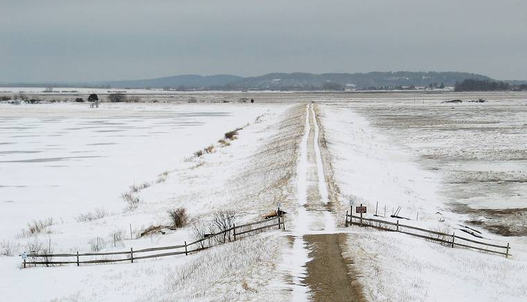 Feb. 22, 2005 - Plum Island, Massachusetts.<br />Hellcat swamp area.